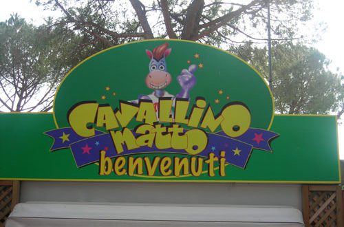 Il cavallino matto